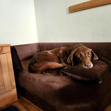 Ferienwohnung Baer Vohenstrauss Bagian luar foto
